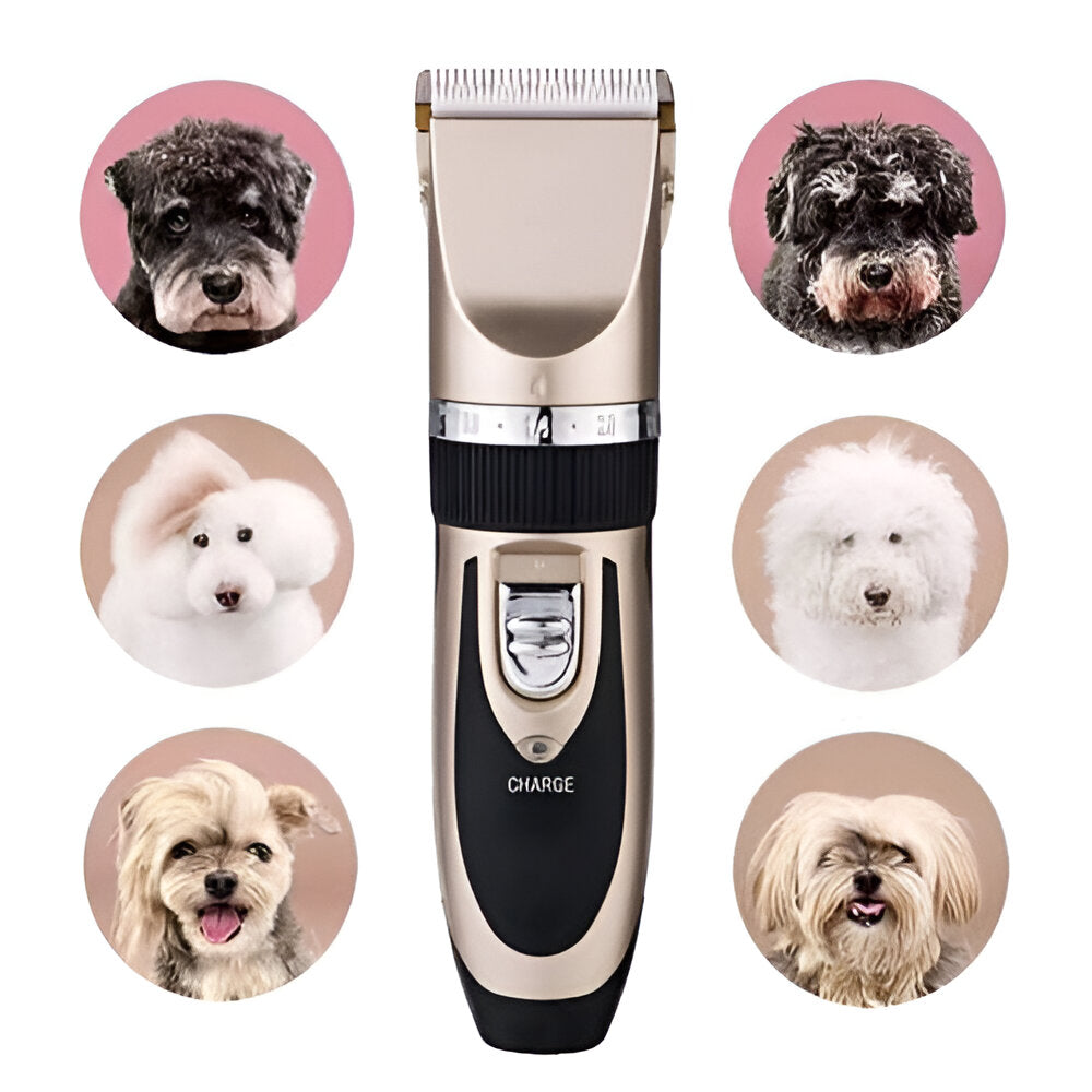 KIT MÁQUINA DE MASCOTA PROFESIONAL