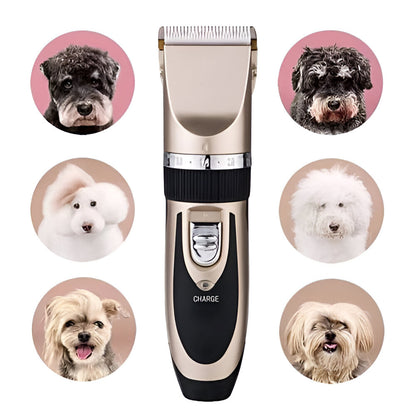 KIT MÁQUINA DE MASCOTA PROFESIONAL