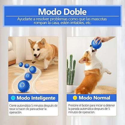 Pelota rondel
