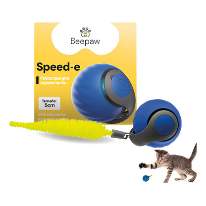 Pelota rondel