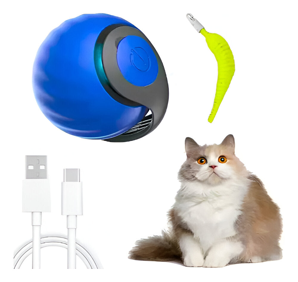 Pelota rondel