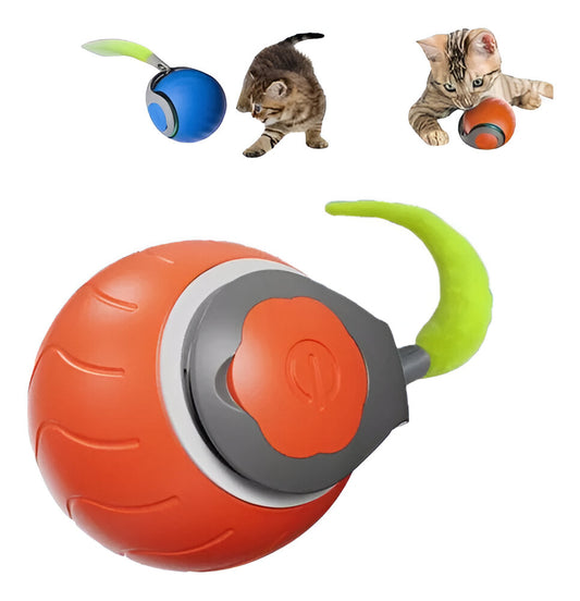 Pelota rondel