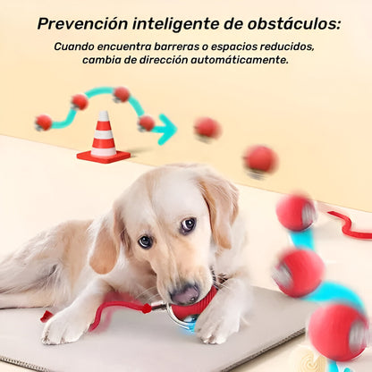 Pelota rondel