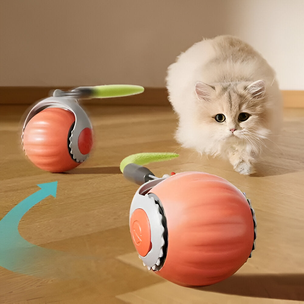 Pelota rondel